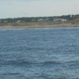 Meet your Posher, Liza